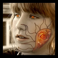 PAGE -Sunshine n Roses